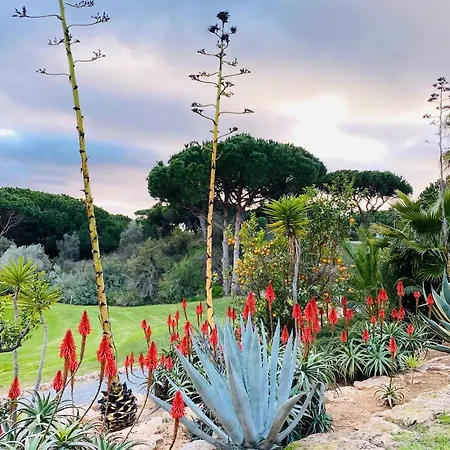 Algarve Luxury Experience - Situated Within The Pinecliffs Apartment *