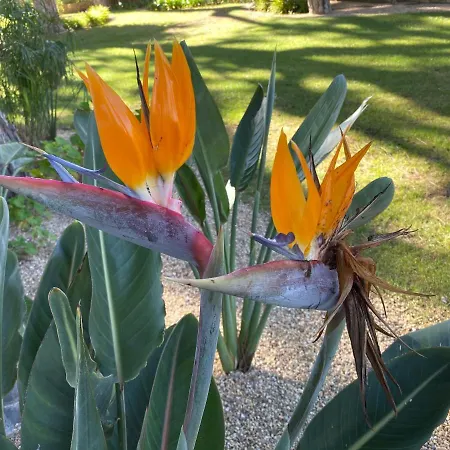 Апартаменты Algarve Luxury Experience - Situated Within The Pinecliffs *