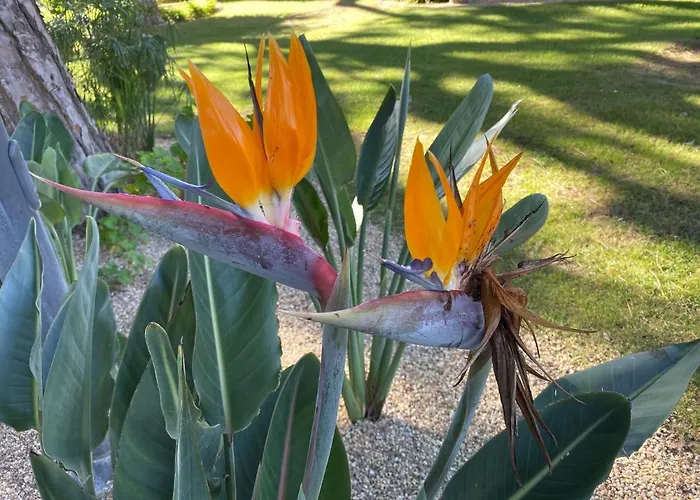 Apartament Algarve Luxury Experience - Situated Within The Pinecliffs *