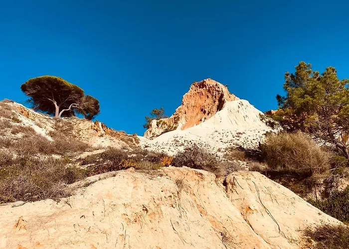 Апартаменты Algarve Luxury Experience - Situated Within The Pinecliffs